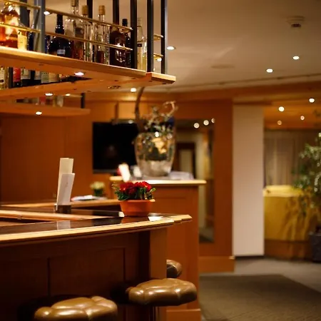 Alpin Superior ホテル 3*